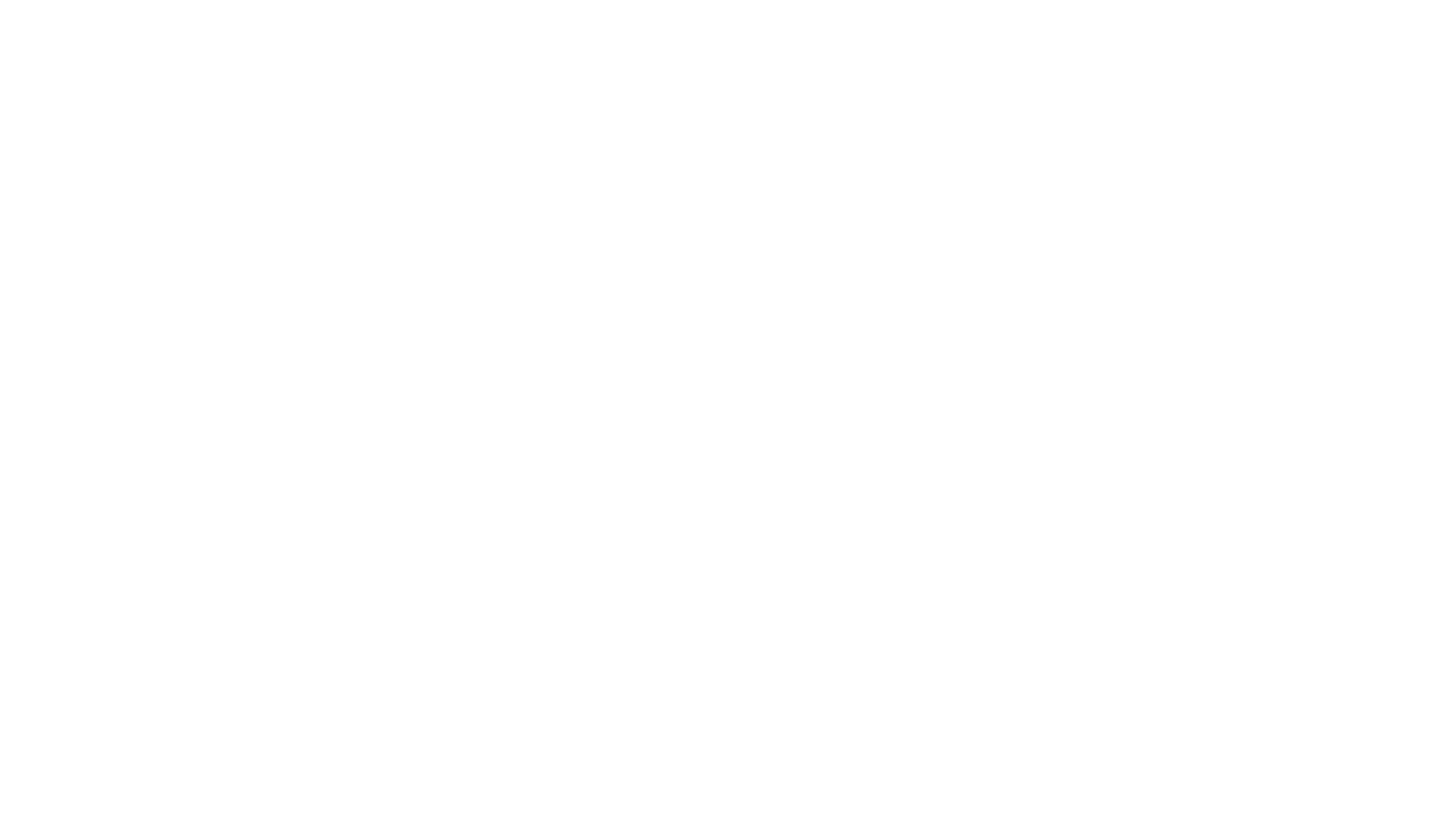 Logo de BNAA